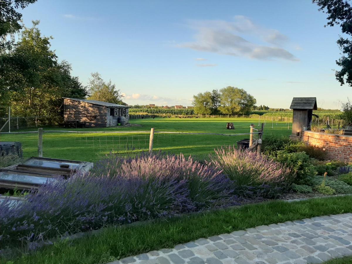 B&B Victors Hof Lievegem Exterior foto
